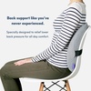 image:imageC CUSHION LAB Extra Dense Lumbar Pillow  Patented Ergonomic MultiRegion Firm Back Support for Lower Back Pain Relief  Lumbar Support Cushion with Strap for Office Chair Car Sofa  Wellness GreenWellness Green